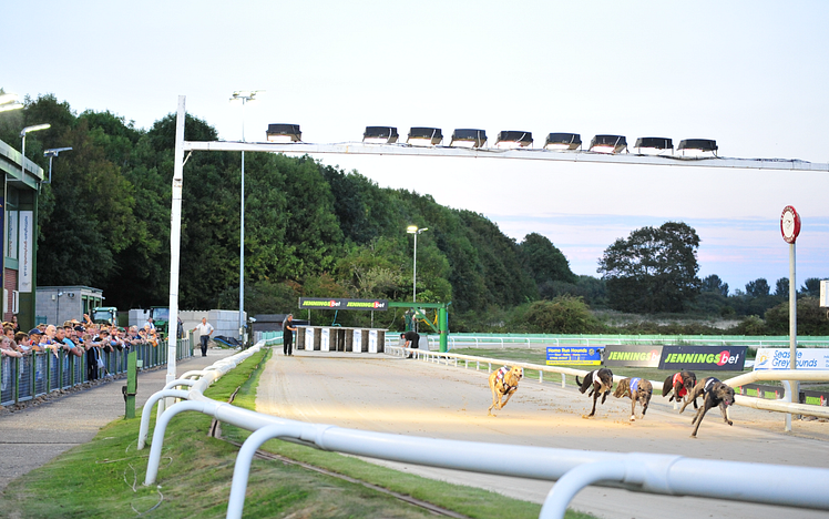 100 years of greyhound racing