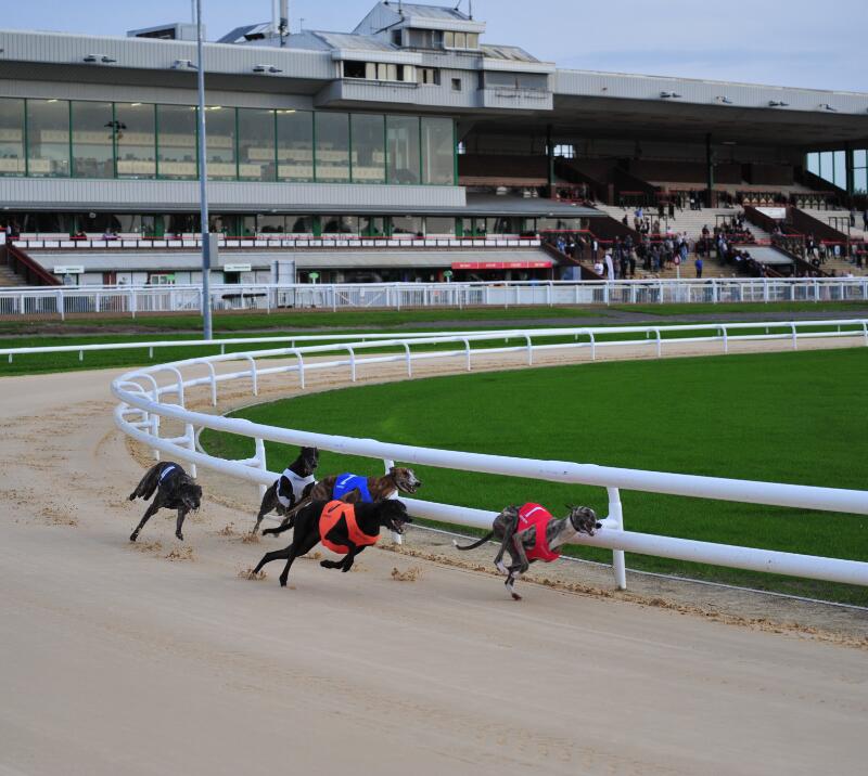 dunstall park greyhound stadium
